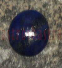 No Image Found